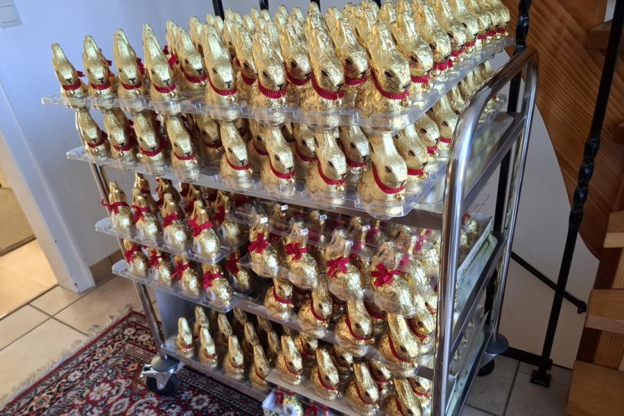 350 Schokoladenhasen warten auf ihren Einsatz